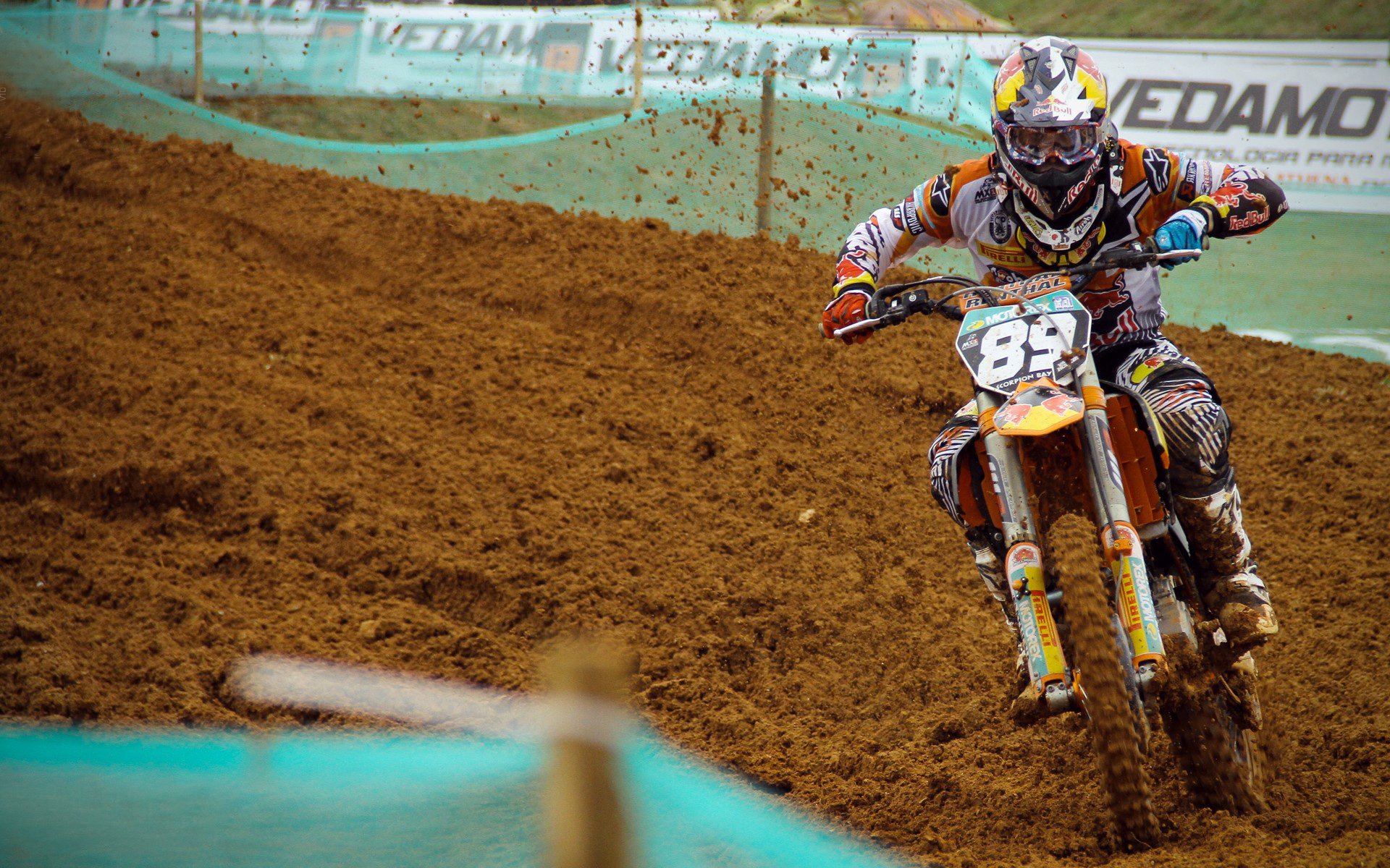 开云官方平台-西决生死夜，阿劳霍打出生涯神迹！孤胆英雄的救赎与钢铁森林的重生